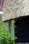 Detail rietkap.
              <br/>
              Gert-Jan Lobbes, 2018